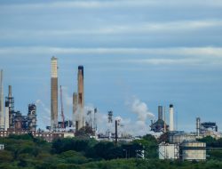 7 Anak Usaha Pertamina Kuasai Top 10 Produsen Minyak SKK Migas, Produksi Hulu Tembus 1 Juta BOEPD