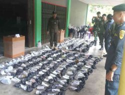 257 Batang Tanduk Rusa Diamankan: Patroli Gabungan Indonesia-Malaysia Perangi Penyelundupan Tumbuhan Lintas Batas