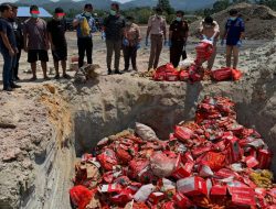 Pemusnahan Wortel dan Kentang Malaysia di Bengkayang, Para Tersangka Menyaksikan Langsung