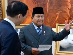 Bayi Panda “Satrio Wiratama” Lahir di Indonesia, Simbol Keberhasilan Konservasi dan Persahabatan RI–Tiongkok