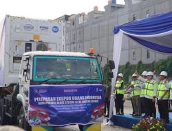 RI Lolos Sertifikasi Bebas Cs-137, Ekspor Udang ke AS Kembali Mengalir Lancar