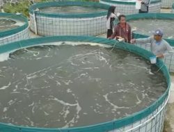 Perkuat Ketahanan Pangan Lewat Pelatihan Bioflok di 100 Koperasi Desa Merah Putih