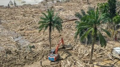 Bareskrim Polri Periksa Perusahaan Diduga Buka Lahan di Hulu Sungai Garoga Batang Toru