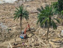 Bareskrim Naikkan Kasus Ilegal Logging di DAS Garoga–Anggoli ke Penyidikan, Alat Berat Disita