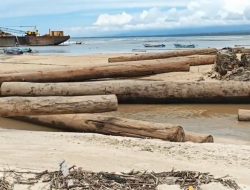 Kapal Tongkang Bermuatan 4.800 Kubik Kayu Terdampar di Lampung, Polisi Tegaskan Dokumen Legal