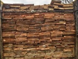 Polisi Bongkar Pengangkutan Kayu Ilegal di Rokan Hulu, Dua Pelaku Ditangkap