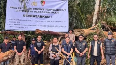 Bareskrim Polri Amankan 27 Gelondongan Kayu Terseret Banjir Bandang Batang Toru, Telusuri Dugaan Aktivitas Ilegal