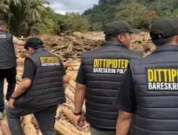 Bareskrim Periksa 17 Saksi Kasus Kayu Gelondongan Terbawa Banjir di Tapanuli