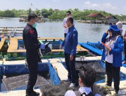 KKP Pastikan Ikan Bebas Cemaran Radioaktif dan Aman Dikonsumsi Sambut Libur Nataru 2026