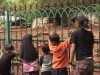 Libur Natal, Taman Margasatwa Ragunan Diserbu Puluhan Ribu Pengunjung