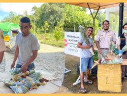 Sembunyi dalam Kardus: Penyelundupan Bibit Tanaman di PLBN Jagoi Babang Digagalkan Karantina Kalbar