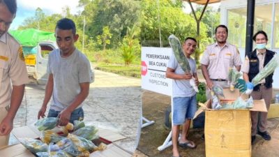 Sembunyi dalam Kardus: Penyelundupan Bibit Tanaman di PLBN Jagoi Babang Digagalkan Karantina Kalbar