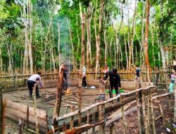 Digelar Rutin Tiap Minggu, Polisi Kantongi 4 Nama Terlibat Judi Sabung Ayam di Silat Hilir