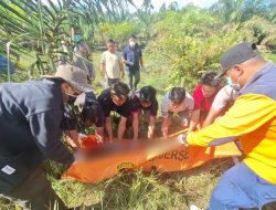 Hilang Selama 4 Hari: Petani Lansia di Sekadau Ditemukan Meninggal Dunia di Area Kebun Sawit
