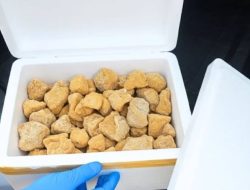 Tahu Bakso Ayam Kalbar “Serbu” Malaysia: UMKM Perbatasan Tembus Pasar Internasional Jelang Nataru