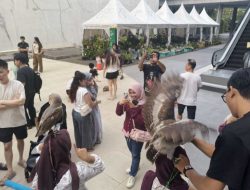 Edukasi Satwa Sejak Dini, Komunitas Independent Exotic Pets Sulap Halaman Mal Jadi Kebun Binatang Mini