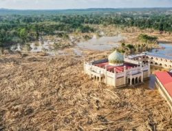 Pemulihan Pascabencana Sumatra Butuh Rp60 Triliun, Pemerintah Fokus Bangun Infrastruktur dan Pertanian