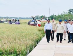 Panen Raya di Karawang, Prabowo Tinjau Teknologi Pertanian Modern hingga Hilirisasi Gambir