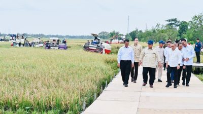 Panen Raya di Karawang, Prabowo Tinjau Teknologi Pertanian Modern hingga Hilirisasi Gambir