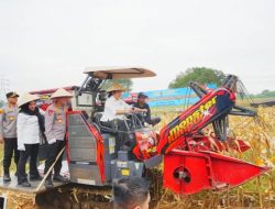 Perkuat Ketahanan Pangan Nasional! Kapolri Pimpin Panen Raya Jagung Serentak