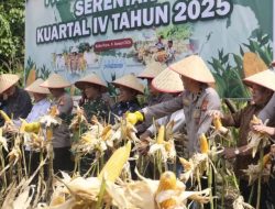 Panen Jagung Serentak di Bengkayang, Polda Kalbar Pecahkan Dua Rekor MURI