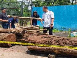 Lima Orang Jadi Tersangka Pembalakan Liar di Taman Nasional Gunung Ciremai