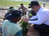 Kementan Mulai Rehabilitasi Sawah Pascabencana, Amran: Ini Tanggung Jawab Negara