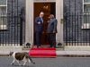 Prabowo Bertemu PM Keir Starmer di Downing Street, Disambut Larry the Cat