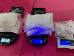 Gagal Edar! 439 Gram Sabu Dikubur di Kebun Karet Terbongkar