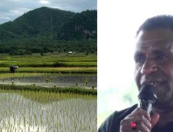Masyarakat Adat Masuk Pertanian Modern Lewat Program Cetak Sawah