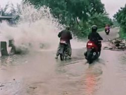 Jembatan Nyaris Roboh Tergerus Ombak, Satono Janjikan Solusi untuk Pantai Matang Danau Paloh
