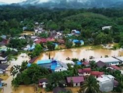 Sekadau Terendam! Ribuan Jiwa Terdampak Banjir di Dua Kecamatan, BPBD Mulai Evakuasi dan Kaji Cepat