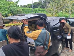 Durian dan Udang Wangkang Dominasi Ekspor via PLBN Entikong Sepanjang 2025