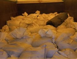 8 Ton Gula Kelapa Kalbar Tembus Pasar Luar Negeri di Pekan Pertama 2026 Melalui PLBN Entikong