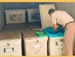 Gebrakan Ekspor 2026: 1,3 Ton Udang Vaname Resmi Meluncur ke Pasar Malaysia via Entikong