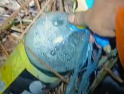 Ditemukan Botol Bensin di Lokasi Karhutla, BPBD Pontianak Duga Lahan Sengaja Dibakar