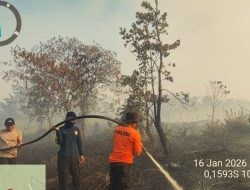 Kebakaran Lahan Punggur dan Kuala Dua Nyaris Jilat Pemukiman Warga, Operasional Bandara Supadio Terancam