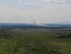Hutan Produksi Pulau Maya Terbakar, Tim Gabungan Terjang Medan Berat Demi Jinakkan Api di Lahan Gambut