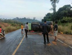 Ngilu Bang! Sap Lintang Patah di Tanjakan Embaloh, Truk CPO Terguling 3 Kali di Tayan Hilir