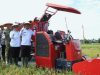 Ganyang Lahan Tidur! Pemprov Kalbar Pacu Cetak Sawah di Anjungan dan Siapkan Bantuan Benih 1.700 Hektar