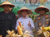 Bengkayang Cetak Rekor MURI! Panen Raya Jagung Kalbar Dukung Investasi Peternakan Rp1,7 Triliun di Mandor