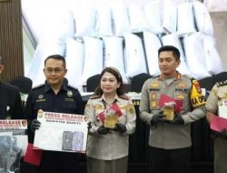 Polisi Gagalkan Penyelundupan 85 Ribu Benih Lobster Ilegal di Bandara Soetta