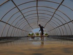 KKP Terapkan Teknologi Tunnel-SWRO, Produksi Garam Bisa Jalan Sepanjang Tahun