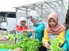 Dari PLTS ke Sayuran: Transformasi Hijau Ibu-Ibu Pulau Merak