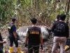 Polisi Telusuri Jaringan Penjual Gading Usai Gajah Sumatra Ditembak Mati di Pelalawan