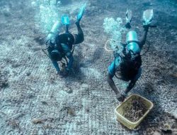 Pariwisata Berkelanjutan Kunci Daya Saing Indonesia di Panggung Global