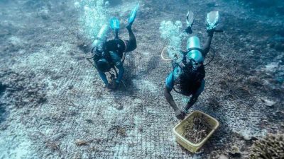 Pariwisata Berkelanjutan Kunci Daya Saing Indonesia di Panggung Global