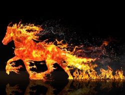 Makna Imlek 2026 Tahun Kuda Api: Momentum Berani Menata Strategi Finansial