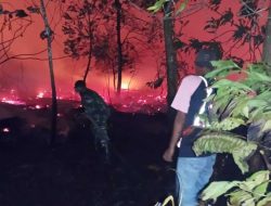 Asap Tebal Karhutla Desa Galang Selimuti Jalan Raya, Pengendara Diimbau Ekstra Hati-hati