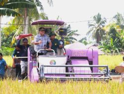 Panen Raya Musim Rendengan, Bupati Sekadau Ajak Gapoktan Optimalkan Alat Mesin Pertanian untuk Dongkrak Produksi